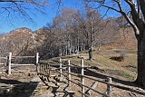 csasso19 011m